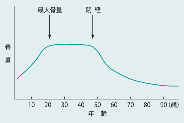 骨量の経年的変化グラフ